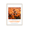 jesienny videobook